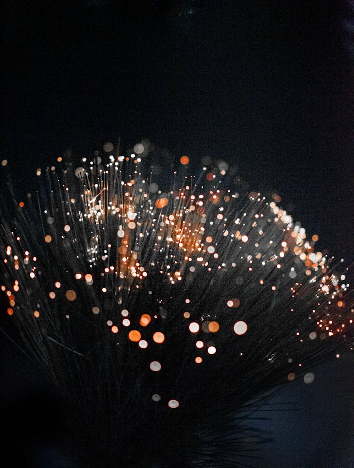 Macro Photography of Orange Fiber Optic Lamp